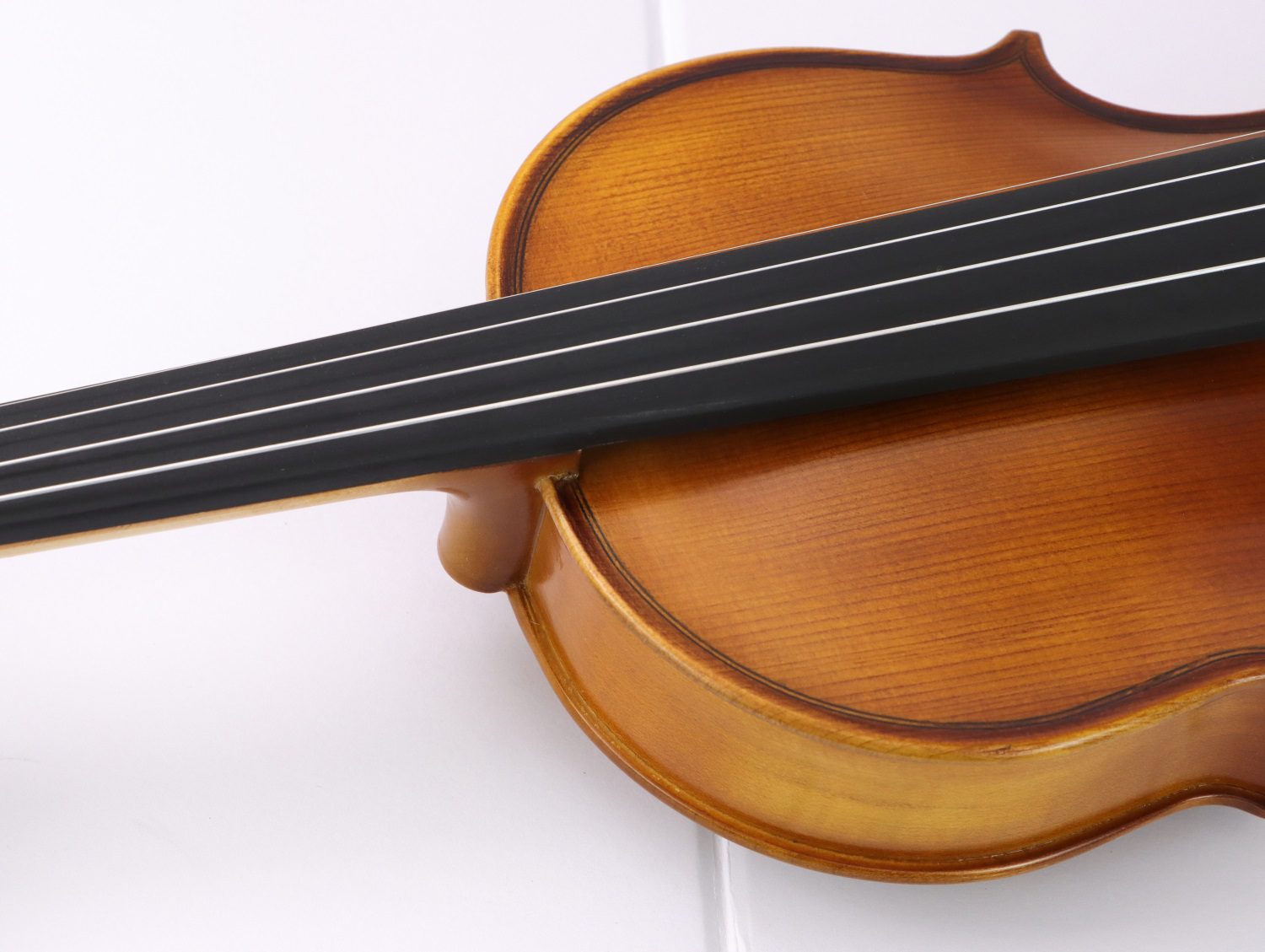 violin