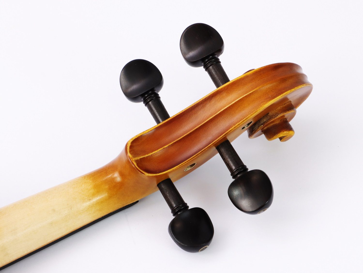 violin